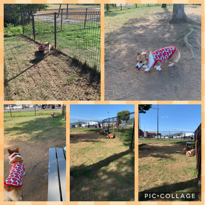 33c5cc42 54c6 4a85 aa72 dc86b04bf8d1 1569039607859