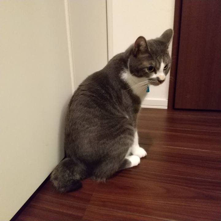 33c5d6c9 d056 4b32 98fe e8e59fe006b4 1606822854136