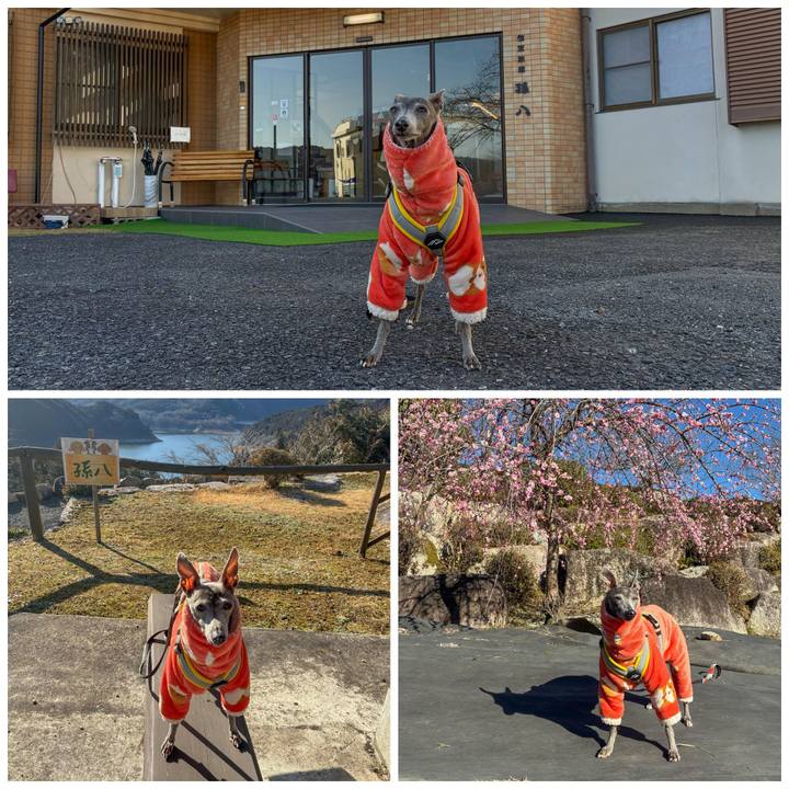 33c5f4dd a6a6 40f8 9a45 6689b37f84f6 1774429483184