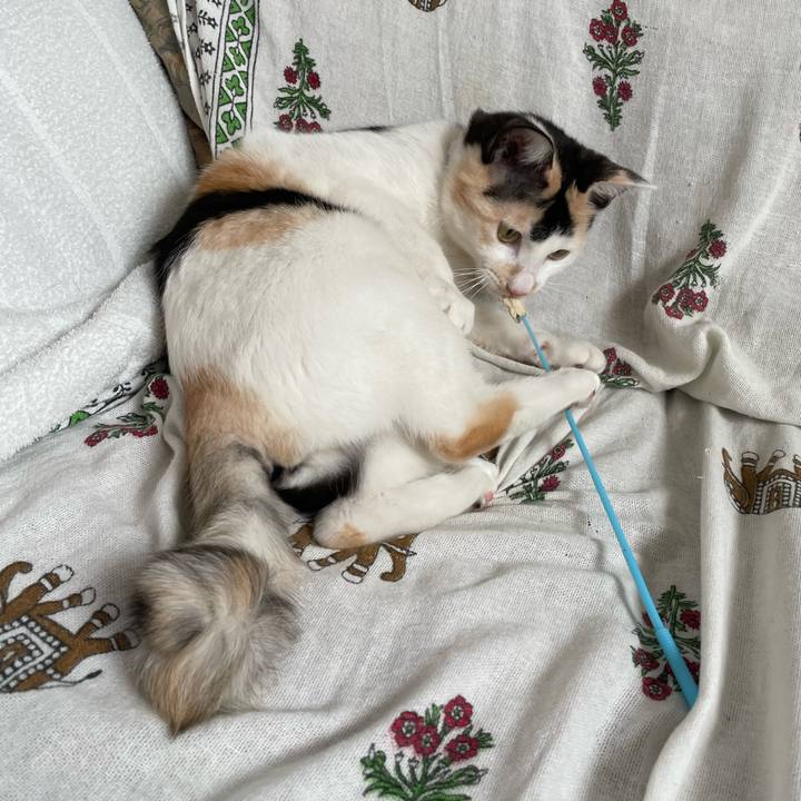 33c5f622 1c84 44b9 a93a 4a43f85e994b 1677371948369