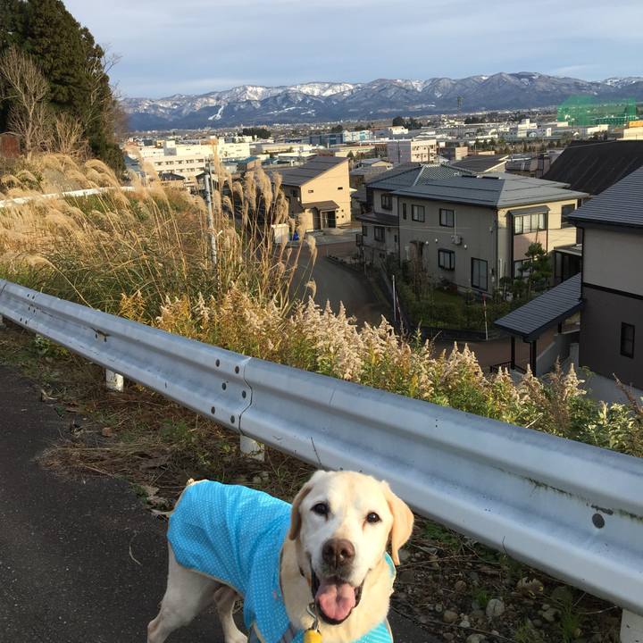 33c604ed 5773 4de3 adb1 70887850193e 1544944044952