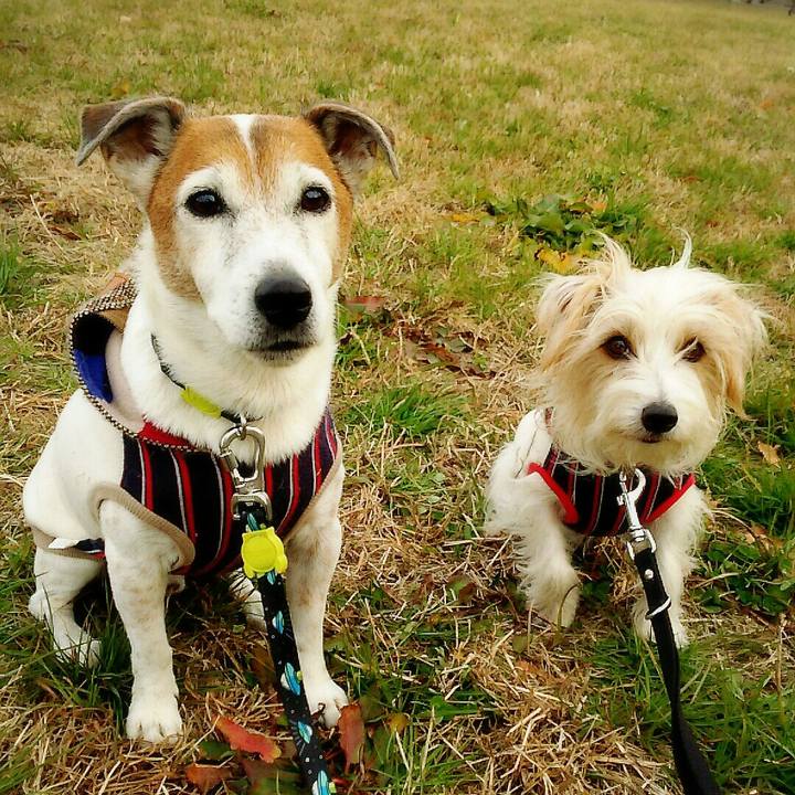 33c60e13 a6da 4ab2 864f 86c9bcb9d114 1514071373107