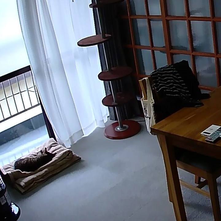 33c6c2ec d0fb 4331 99b9 77f4930a97e2 1521172252437