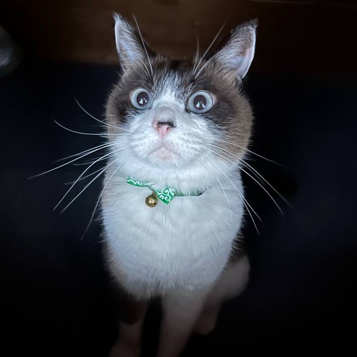 33c6d1be 8d6f 45eb 95fa a9bf661cf144 1764798682976