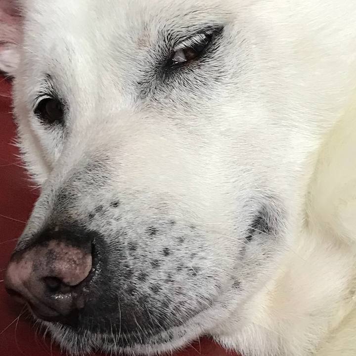 33c6e83f 7ade 4cb4 8d26 ba91551e99ad 1530013642914