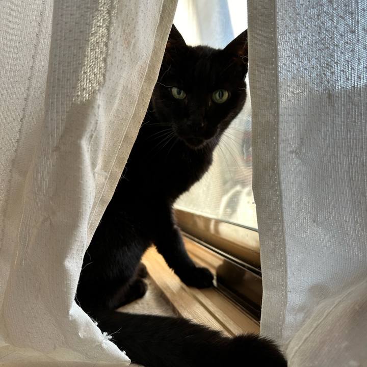 33c71303 01e2 48dc 8bbd 66aeb0a85746 1708050741738