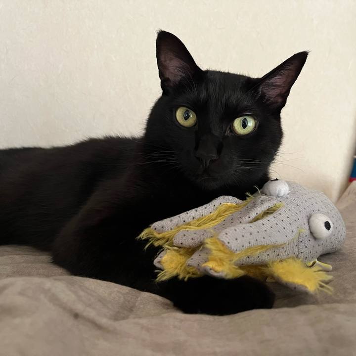 33c726ba ded8 4ade 81e1 b3048395b760 1690800205193