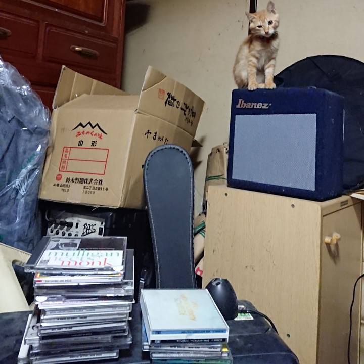 33c80d86 a01e 4648 9734 66c015cd3a0c 1631623264910