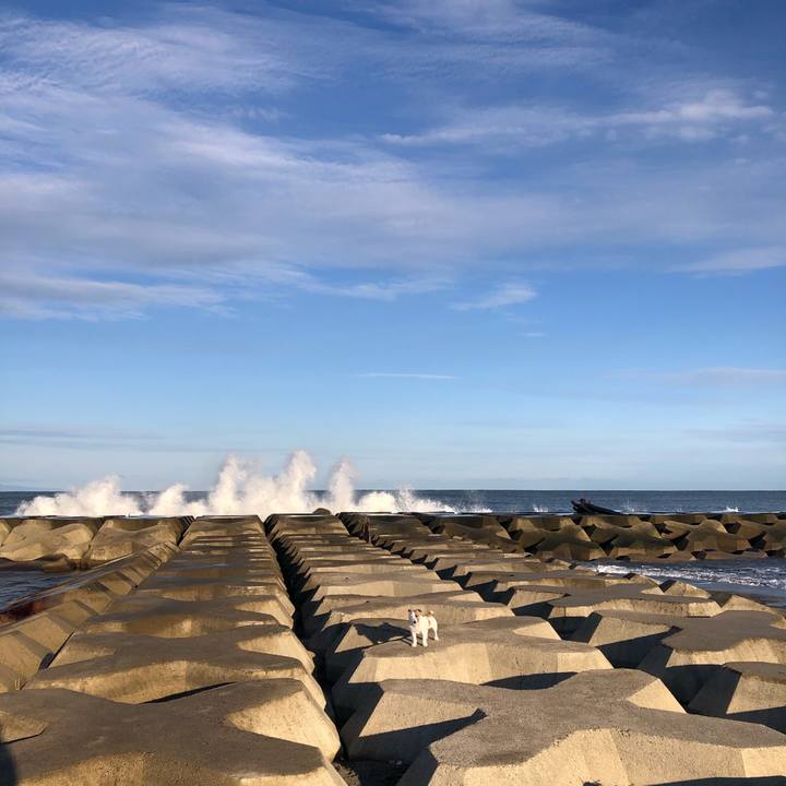 33c83145 d29b 4e4c 95c4 215dc4b9745a 1605999651538