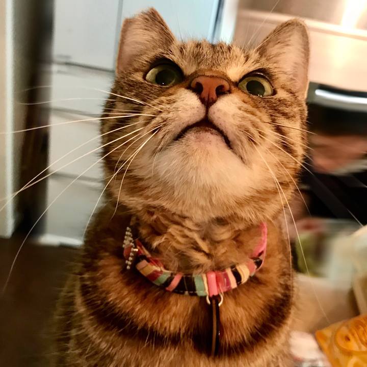 33c83533 c522 4651 bcb3 d5aae42f31bd 1574991928473