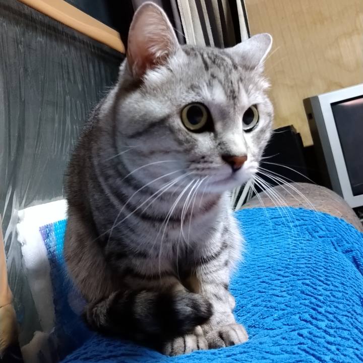 33c84abc 40a2 4c44 8970 7eea3fb1236f 1651497352342