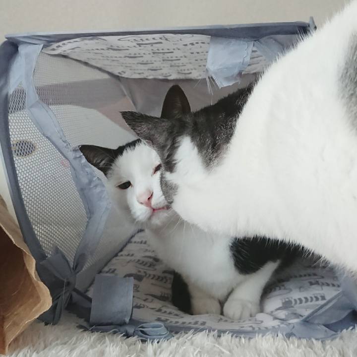 33c8797d 1d1e 46eb 818c d0bab5911323 1510114897766