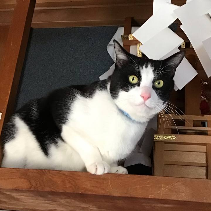 33c8a8a0 d2ea 41e0 a394 ef4eaa20a879 1739788889969