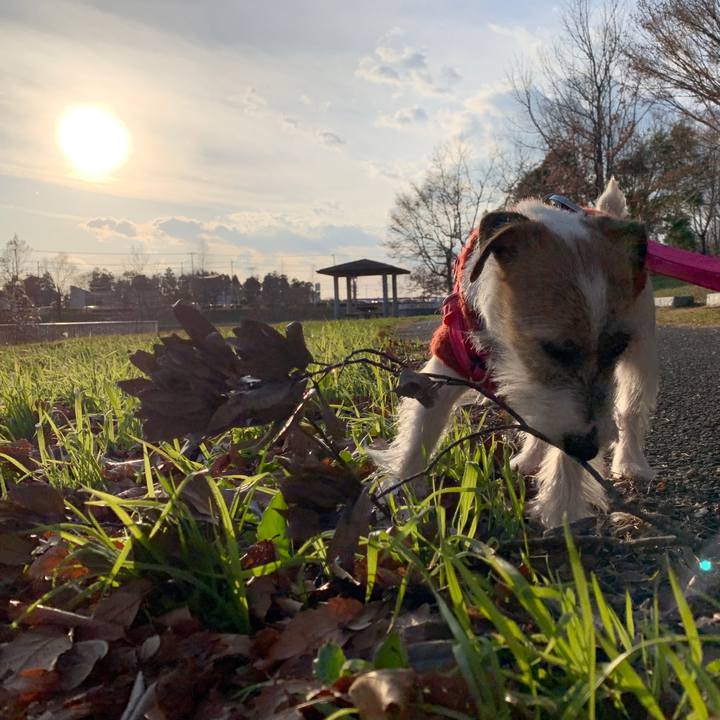 33c8b998 985f 404e 84e9 9caccb40c29c 1578643591279