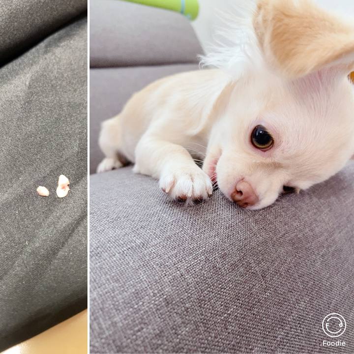 33c8bad7 e520 41c2 bf70 b2ac96fc5c9b 1594776865946