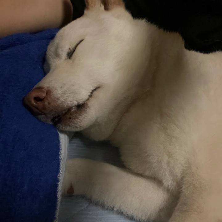 33c8d630 6b3a 456d 9271 1a0f52284b09 1633962357460