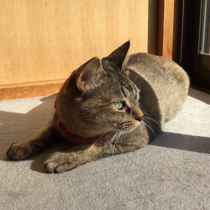 33c91560 4637 4961 baa7 9e3bb668f5ae 1612509052056