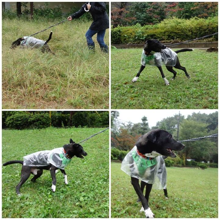 33c973a9 d192 4fd9 b0b3 e45508f18644 1602287754222