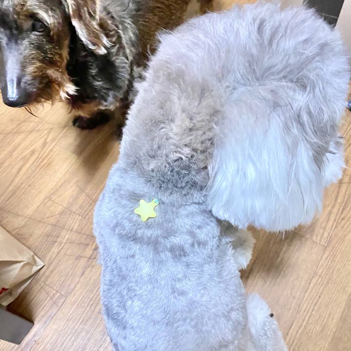 33c9dab5 aaca 4935 87dd bfed277cdae1 1625754898576