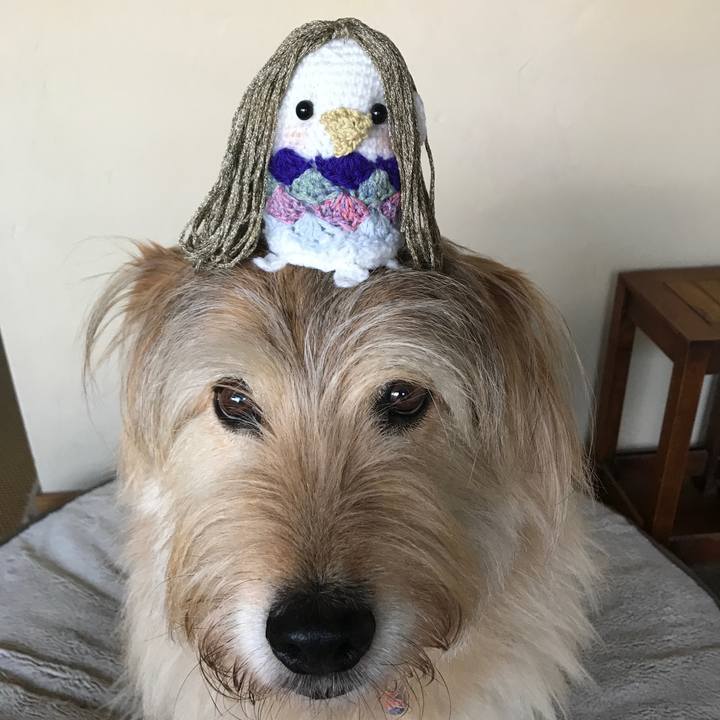 33ca2681 d0fa 4e08 a548 12b8adb9e6dc 1588924130762