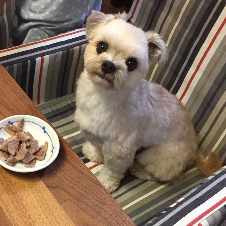 33ca525f 00b9 4b13 a1fd 6617d77a30b6 1537185619396