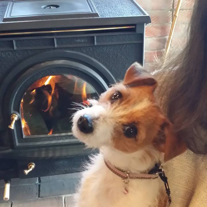 33ca538e fd09 4d8e bc35 f1f9fcea2359 1615525158150