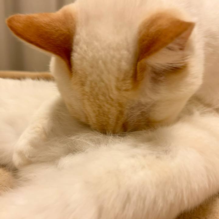 33ca5862 9b48 49b9 a5af 44ddfff1ea9c 1765241320916