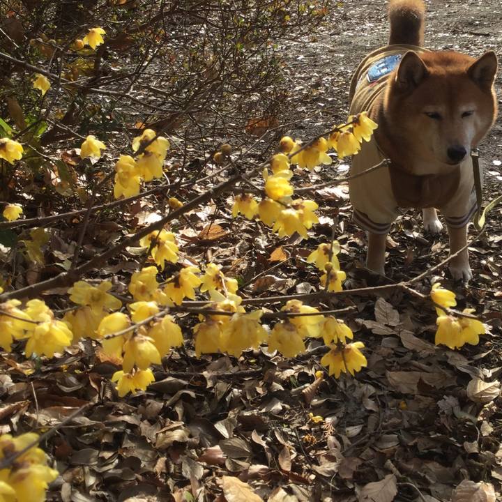 33cb52e1 b1b6 409e b0fa 474d2560f03a 1579249735087