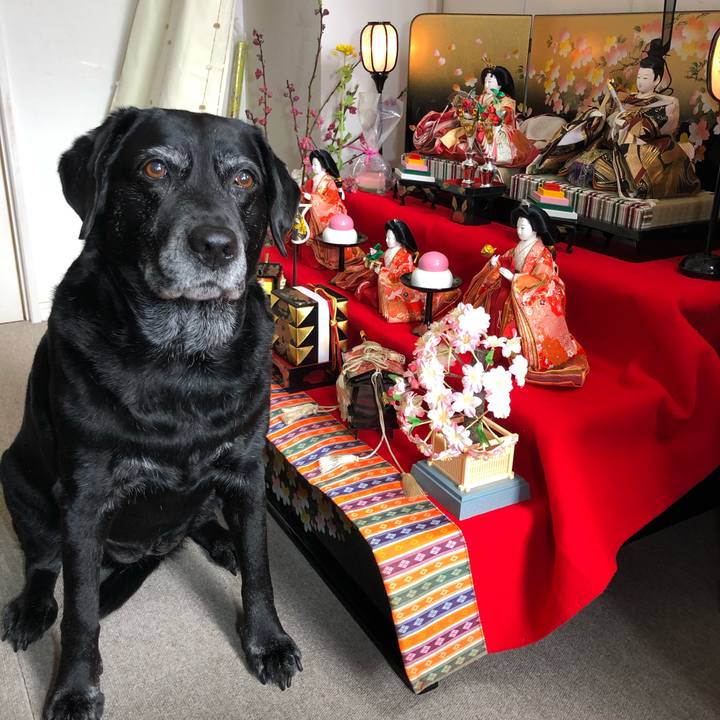 33cb6a86 2fed 49d2 b4a7 402905e46794 1615078218140