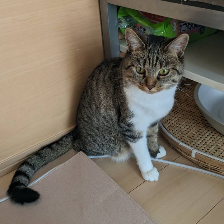 33cbcccd 2f64 4b9c a34c 8eefd2597015 1690247380750