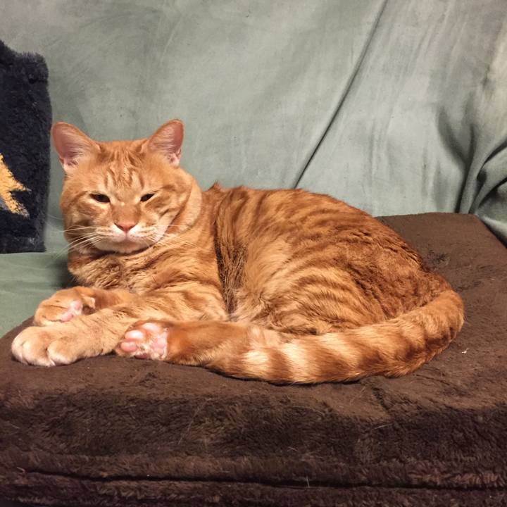 33cbe9b5 be08 4df8 823e 719832dc71d2 1548247705149