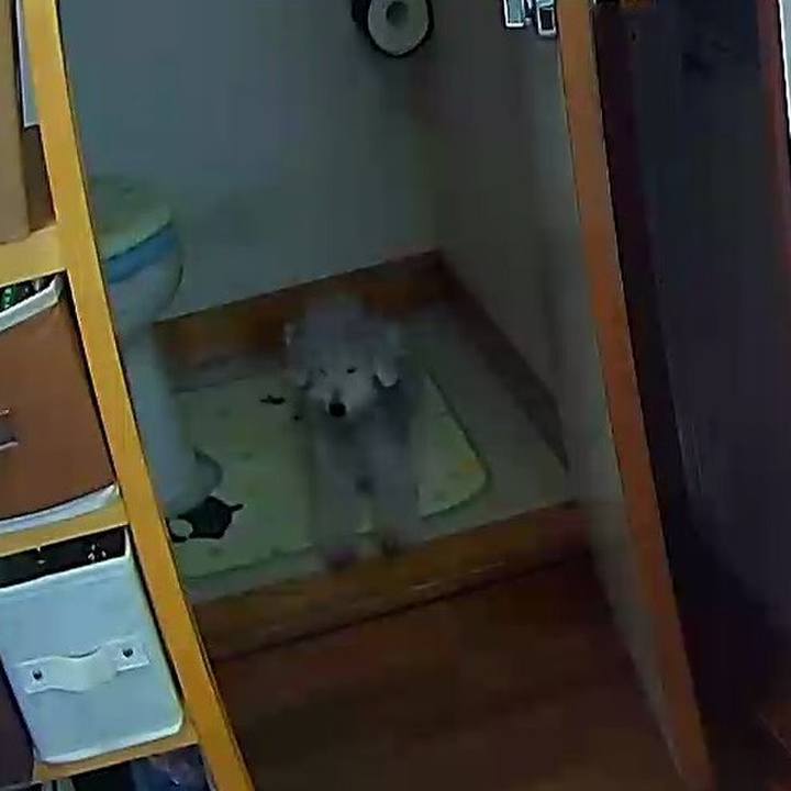 33cbf1d7 7ee0 45c7 b29c 14f9cdb6fa29 1631679308870