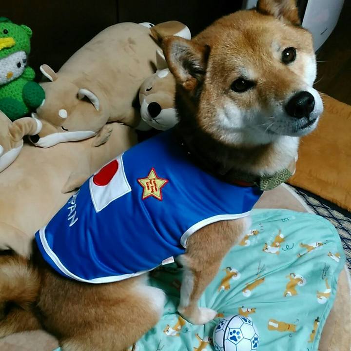 33cbf8bb c3cd 47f2 a6e3 f7e2e8af4b62 1529400275379