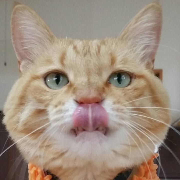 33cc01f3 8749 448e 84c9 54709e6e8a7a 1564186775494