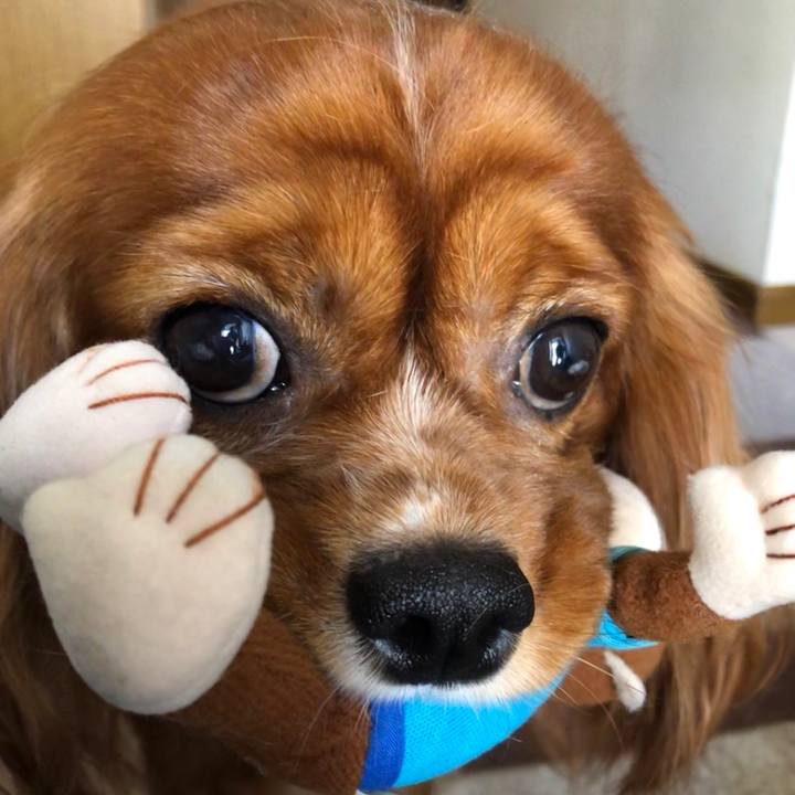 33cc09cb fe21 44e8 8f1e a324d5050f2f 1603526966077