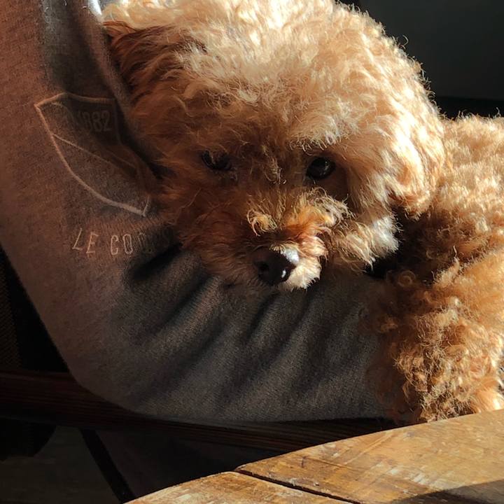 33cc1b46 9aae 48c7 9efb 0fd7132d077a 1549427600570