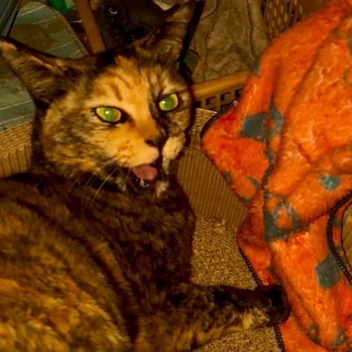 33cc2d4a 4227 4f62 85b0 5acaeb2a1661 1773348341102