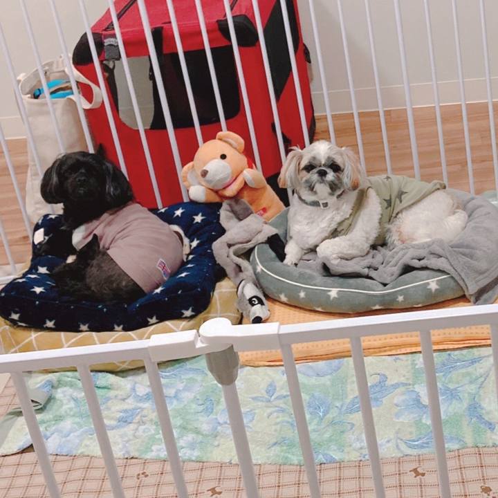 33cc7dca b633 49ec 995e 503946c56783 1678619997447