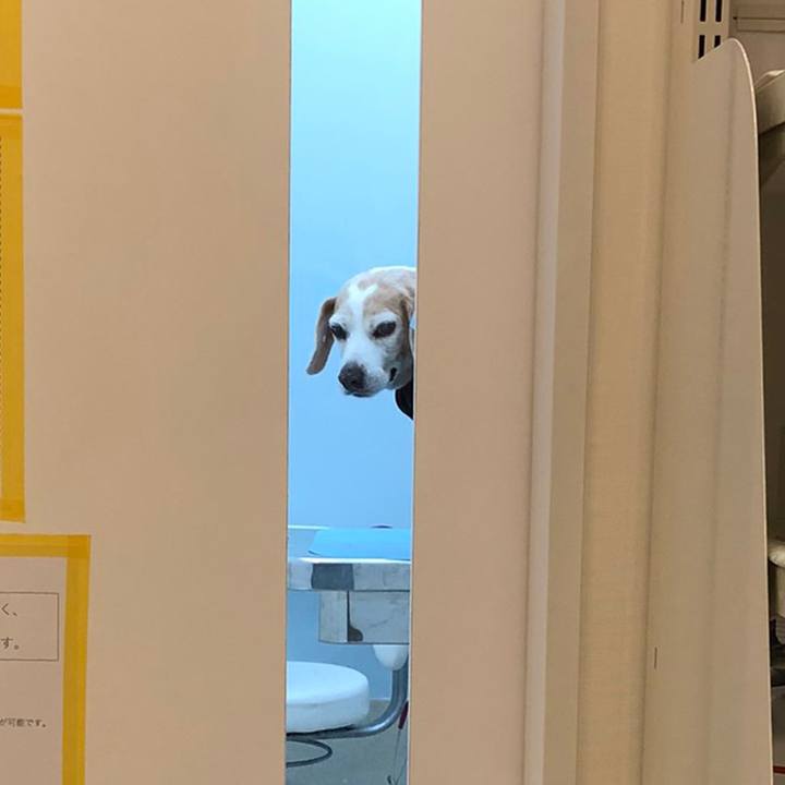 33cc9e81 4a6a 41b8 a54e 232c98ad4442 1615968723924