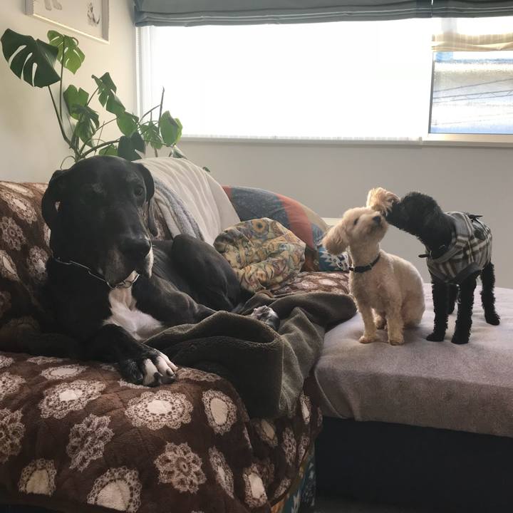 33cca87e a2e4 4b8b ad65 9105f4970a2d 1511821779107