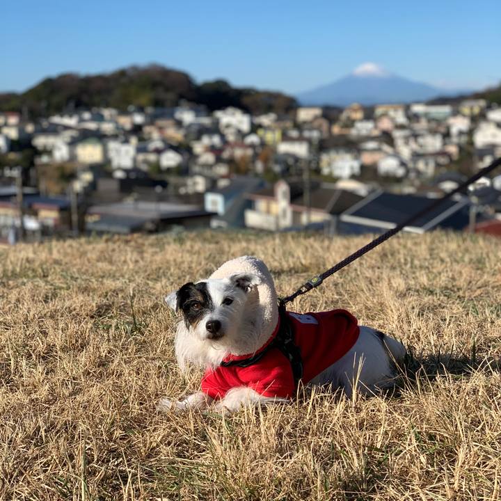 33ccb5d5 bf21 4ec1 b827 0eadf003b9b7 1703207671629