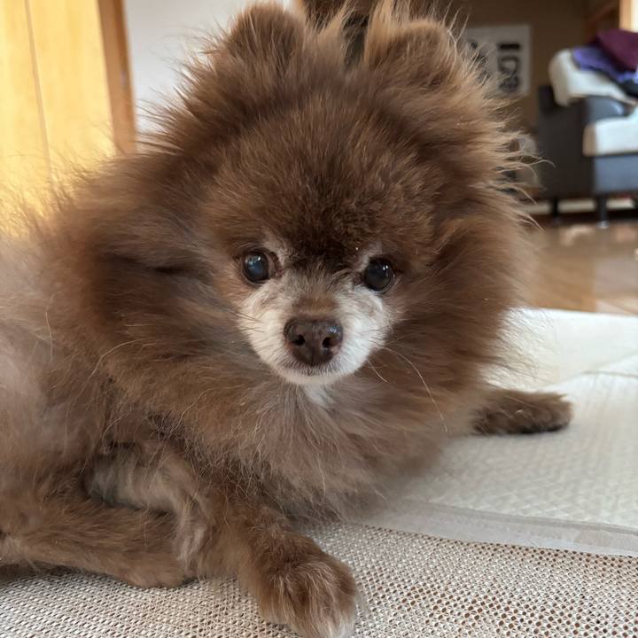 33ccf524 4fb3 4e6d 8f58 a549b6ef06fb 1773466831826