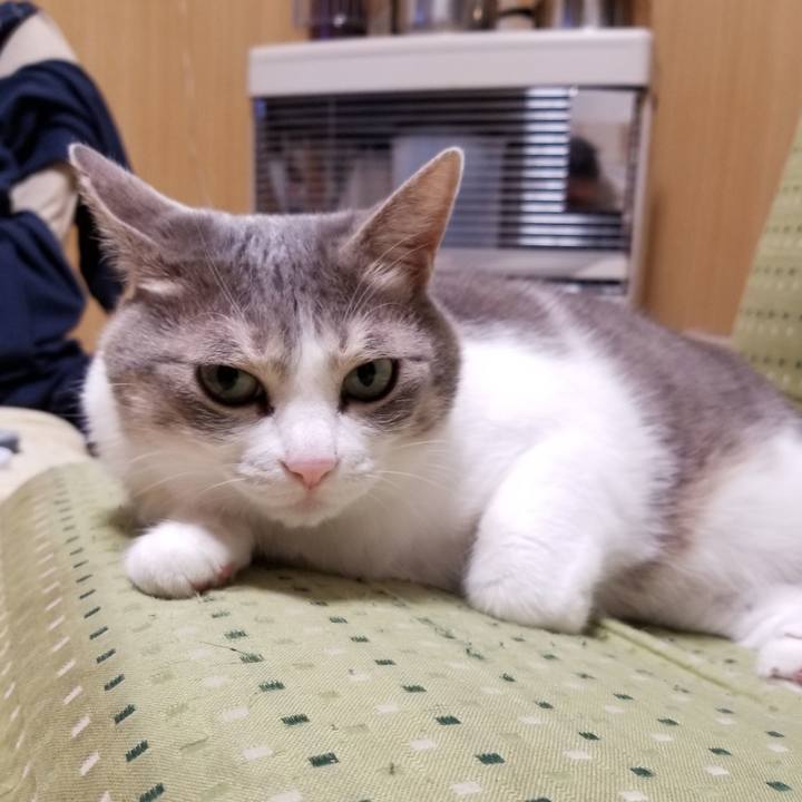 33ccf6a6 7a2d 494a 9726 b6052012f622 1613211804780