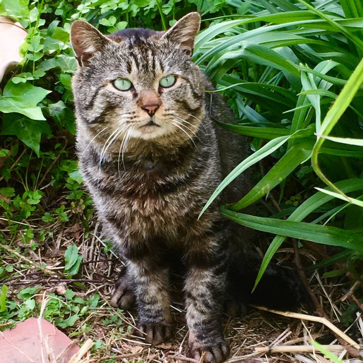 33ccfaff f999 4c4d a7f7 dea42935d175 1622182765760