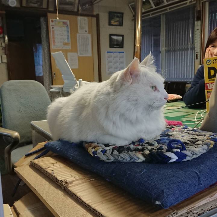 33cd199b 6fac 4068 aa40 a7c631ce3cc2 1540246994992