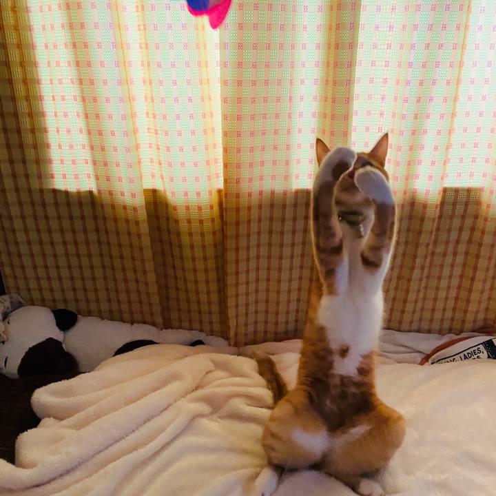 33cd478a 5bcc 49b3 a9f1 0bfde2228dbd 1586074522437