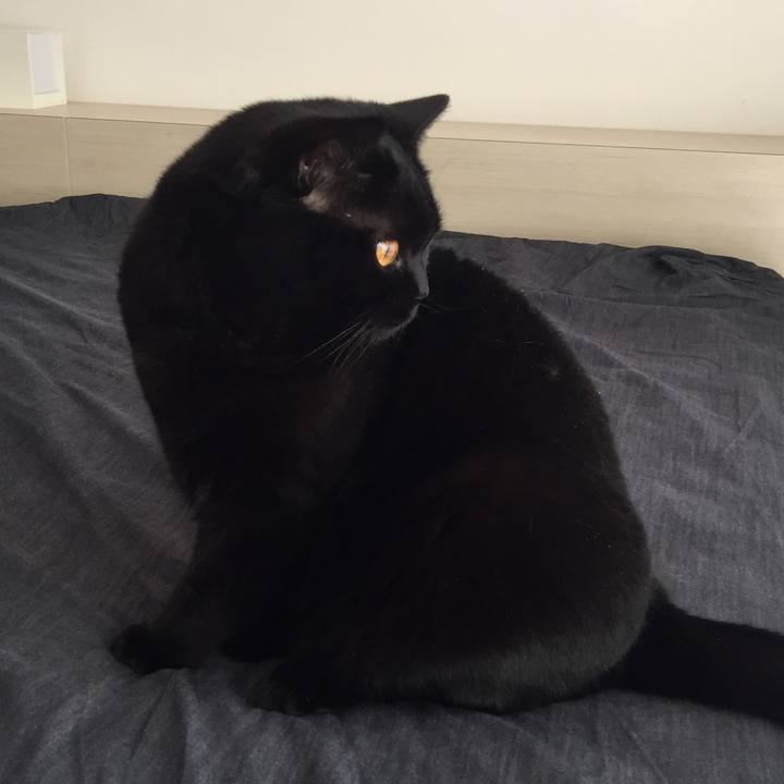 33cd54f0 684f 48c4 8877 cd76dbf90a89 1529617416296