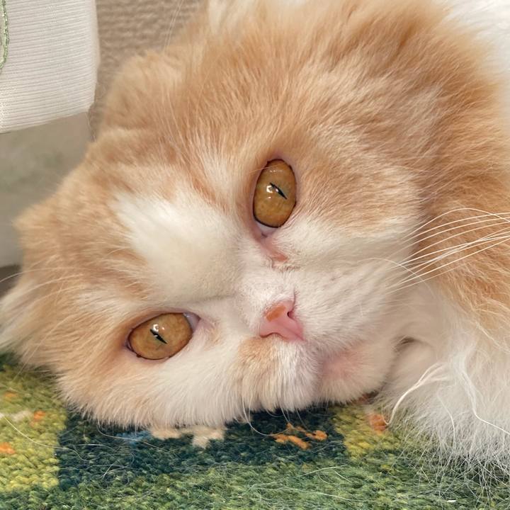 33cdd64c 86fe 4911 a93a 50d3c4dc9b71 1610148699158