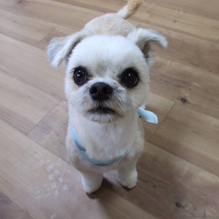 33cde8b5 9f41 461e b315 98c637b3876e 1549450046375