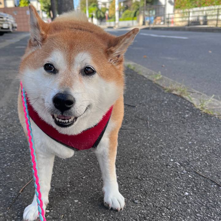 33ce192c e72b 4c79 b51e 3dcbafdfc102 1697953904441